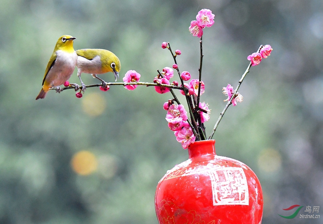 DSC_5113 - ����.JPG