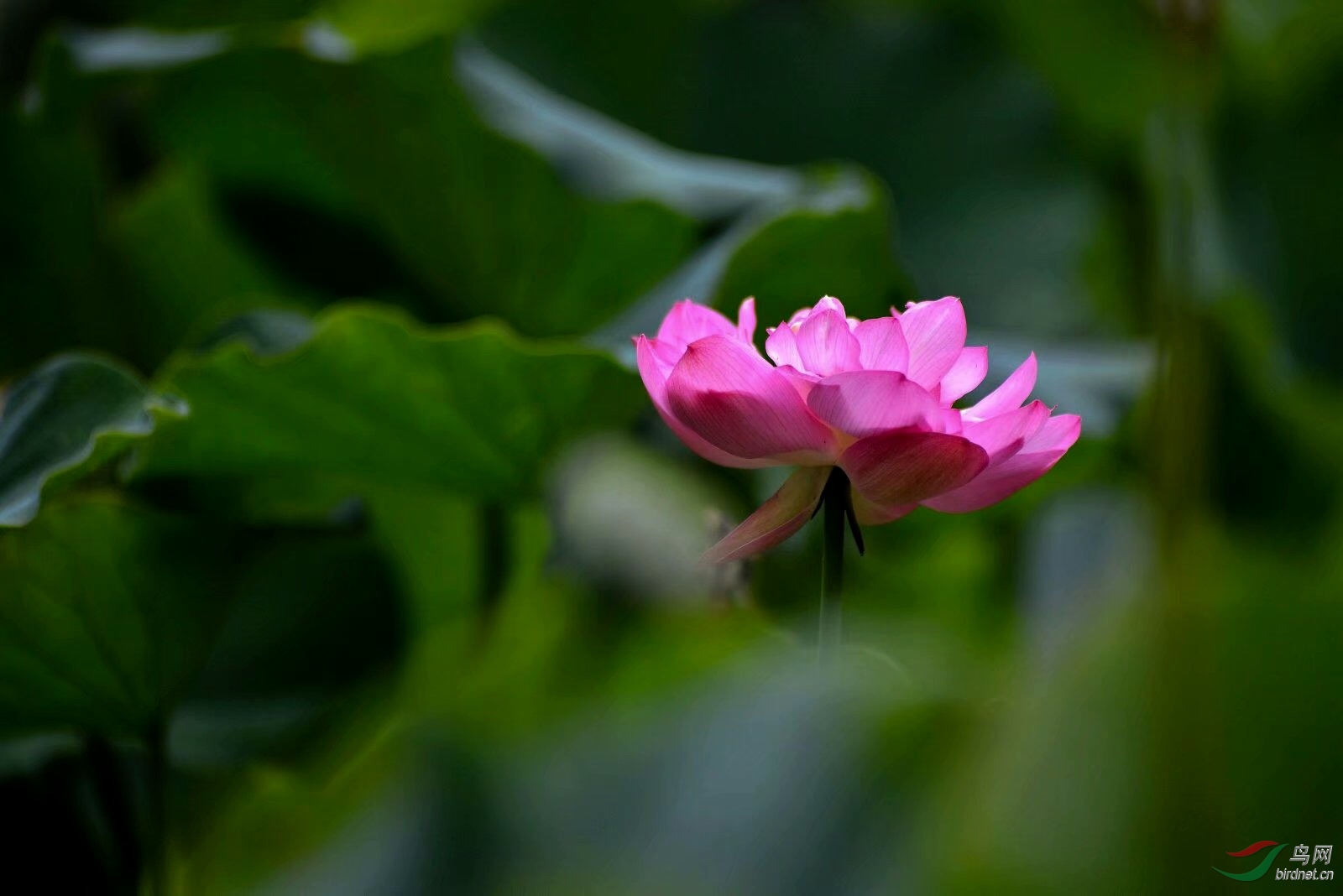 31BBF185-EC96-462C-BA9C-92B8DA01D03C.jpeg