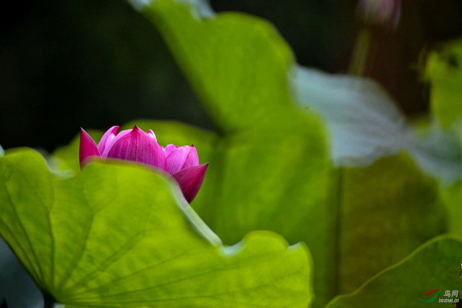 E36BE5C7-B2CB-41CF-AA5A-8A37690383E1.jpeg