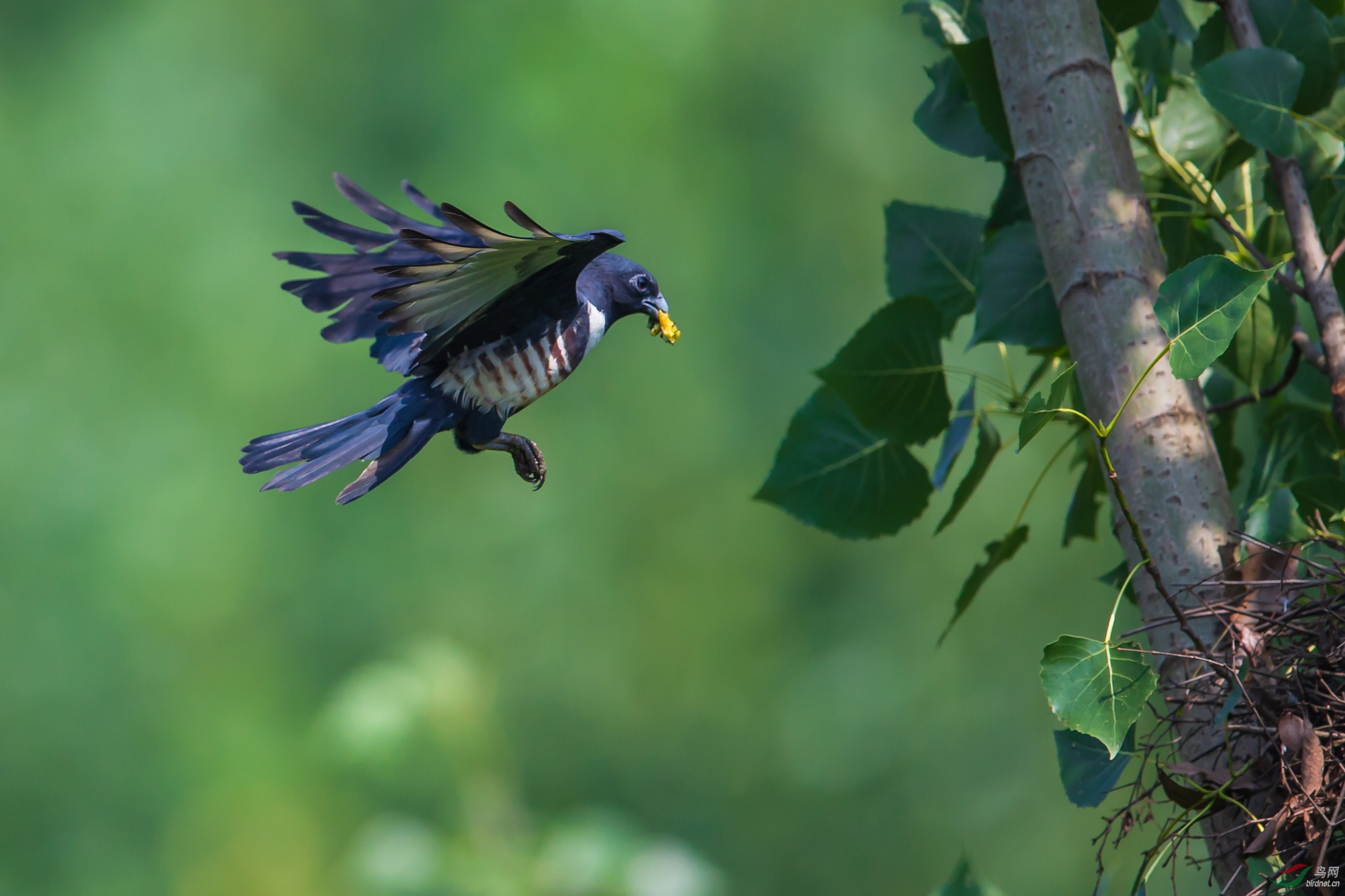 AF9Y7771.jpg