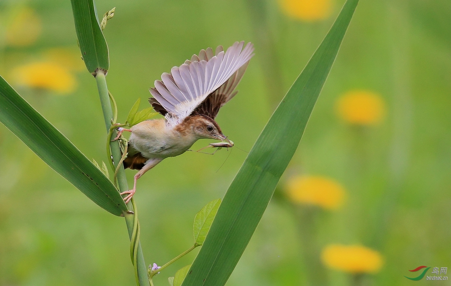 AI8T9455_����.jpg