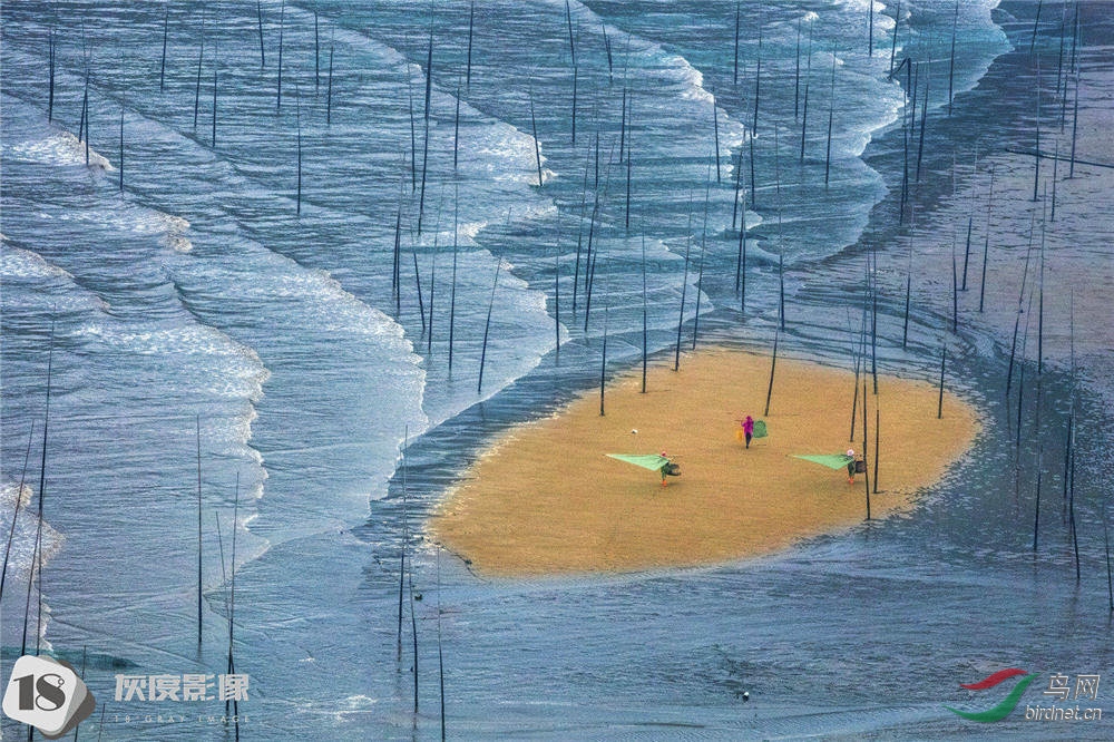 ��ϼ��ӡ��12��������ε��ɫ�ĵ�ɫ�壬������������Ĩ�ϵĵ�һĨ��ɫ�� �Ҷ�Ӱ���Ա:������(�й� ����)�� ...