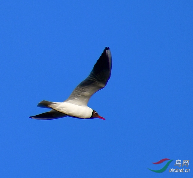 DSC_7505.JPG