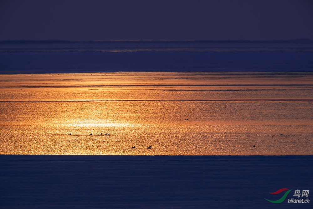 _52I6940x.jpg