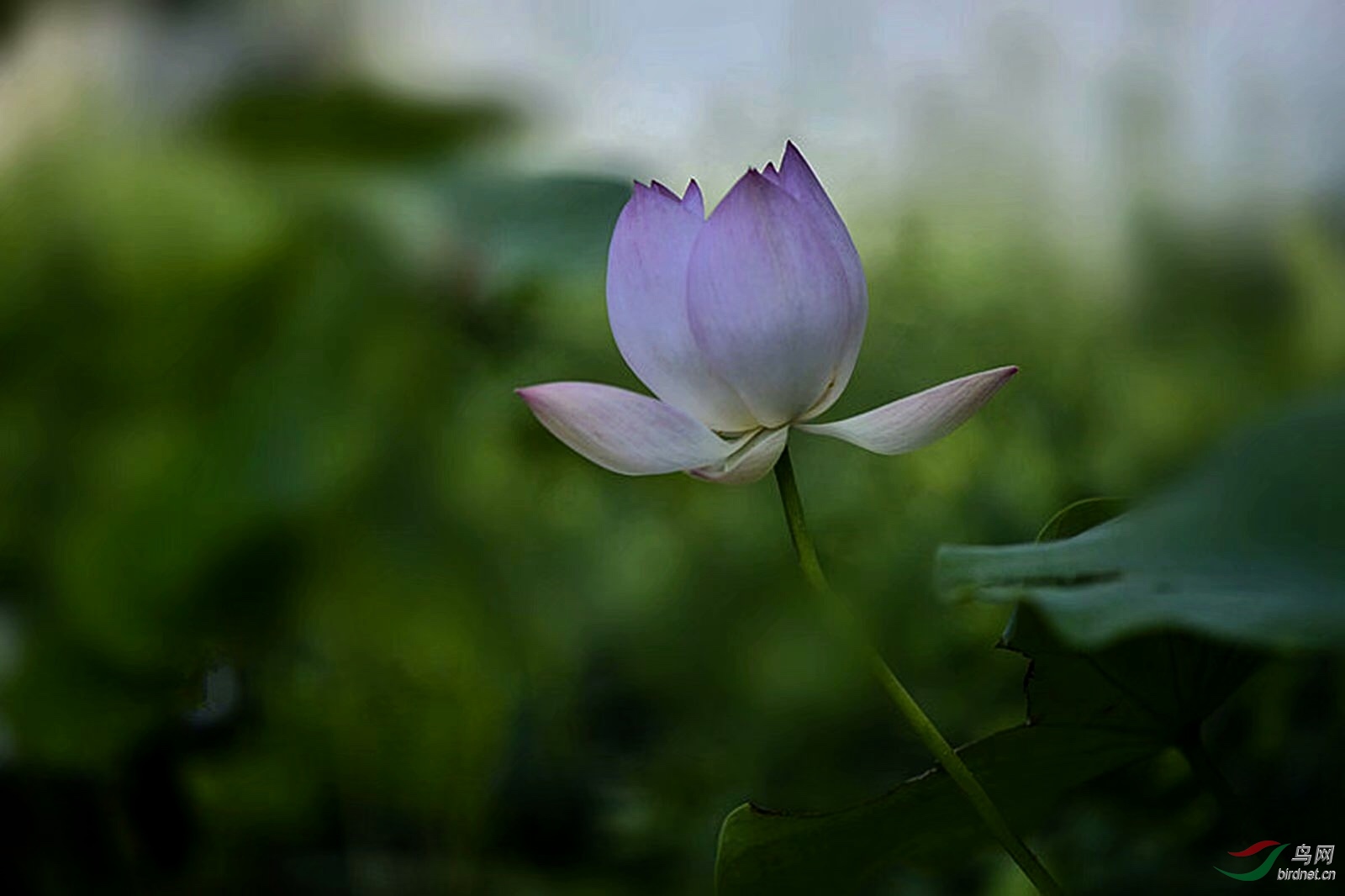 40D93D05-7F32-45DF-B8A7-35974C899216.jpeg