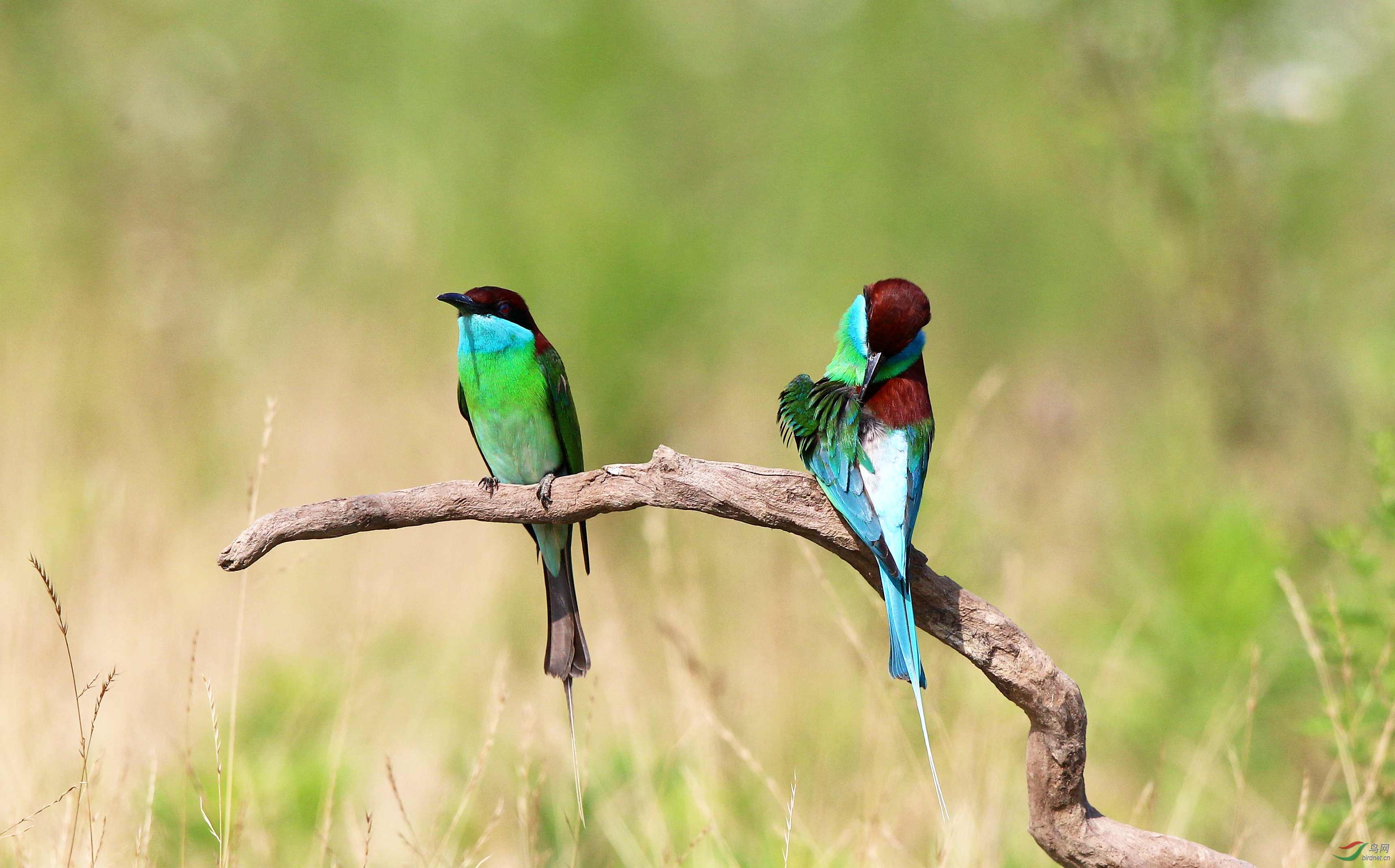 H46R3849_���� (2).jpg