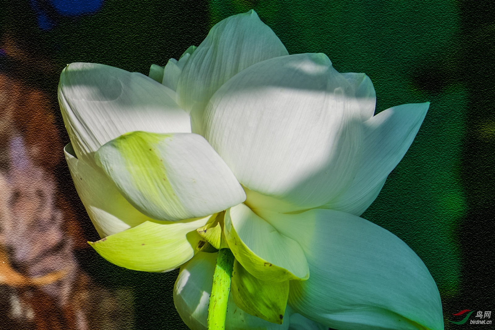 _D5S7960_6471a1.jpg