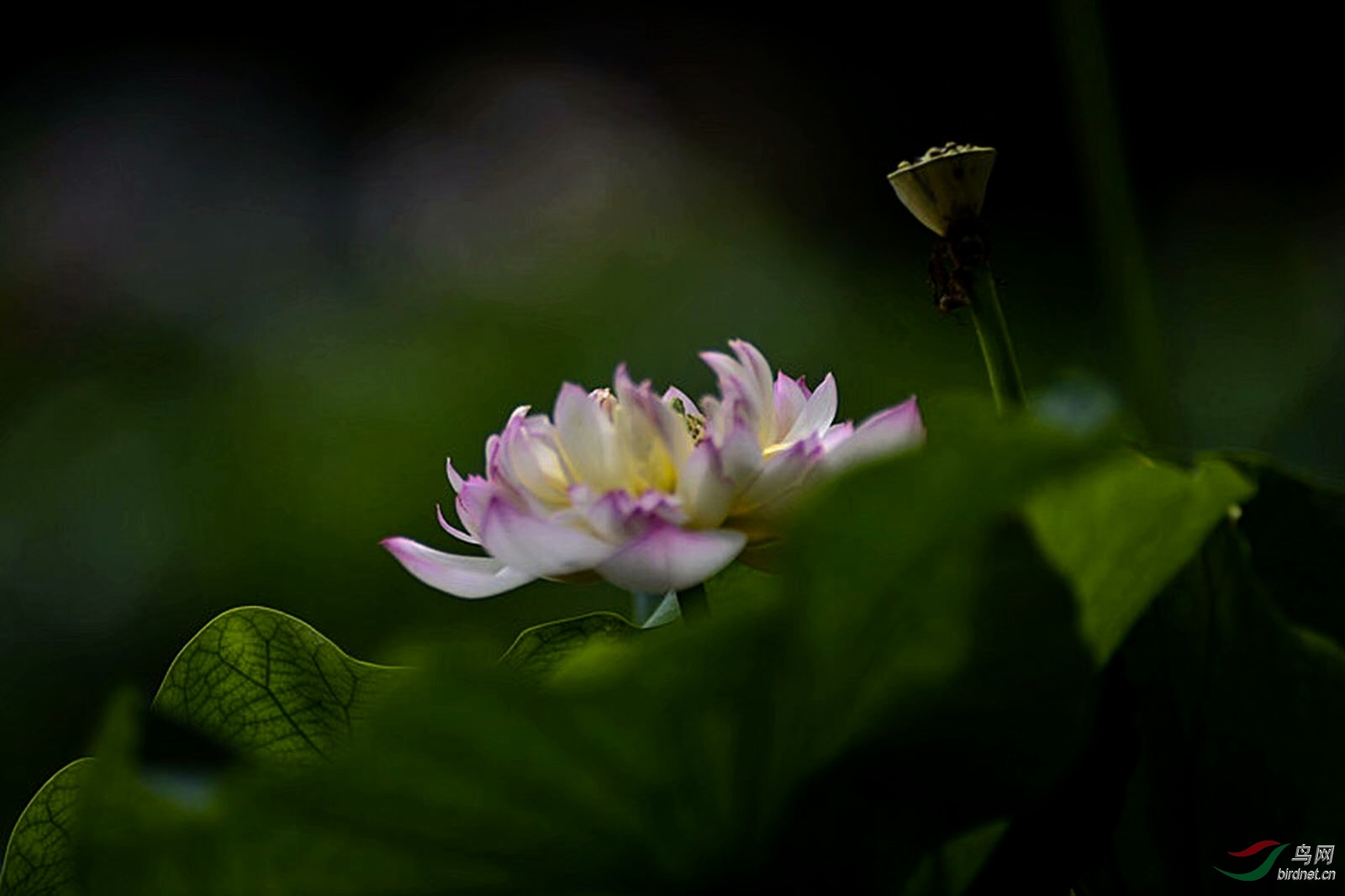14B75551-2D42-4F47-8438-E656BC104984.jpeg