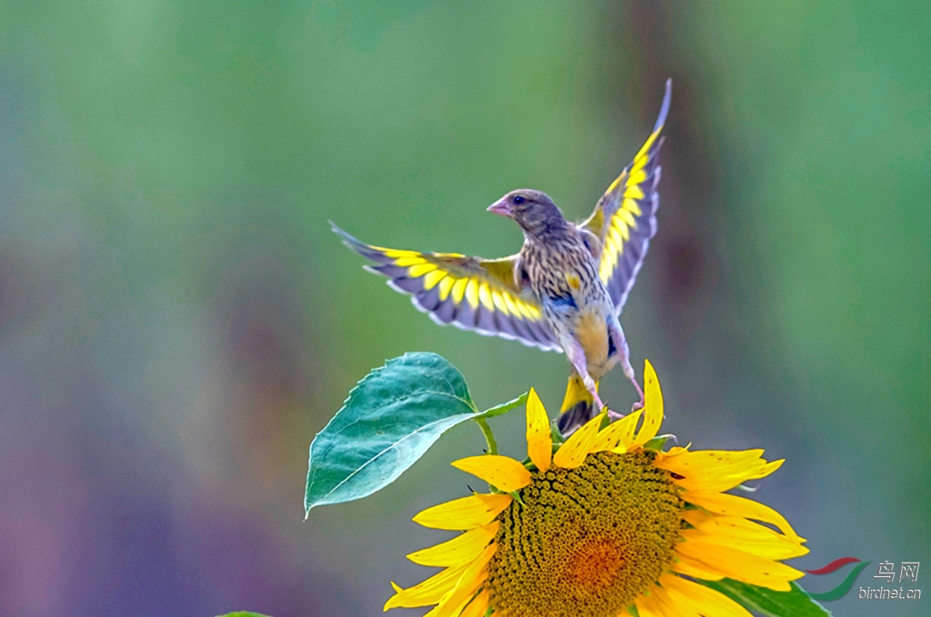 _K8I5531  01_����.jpg