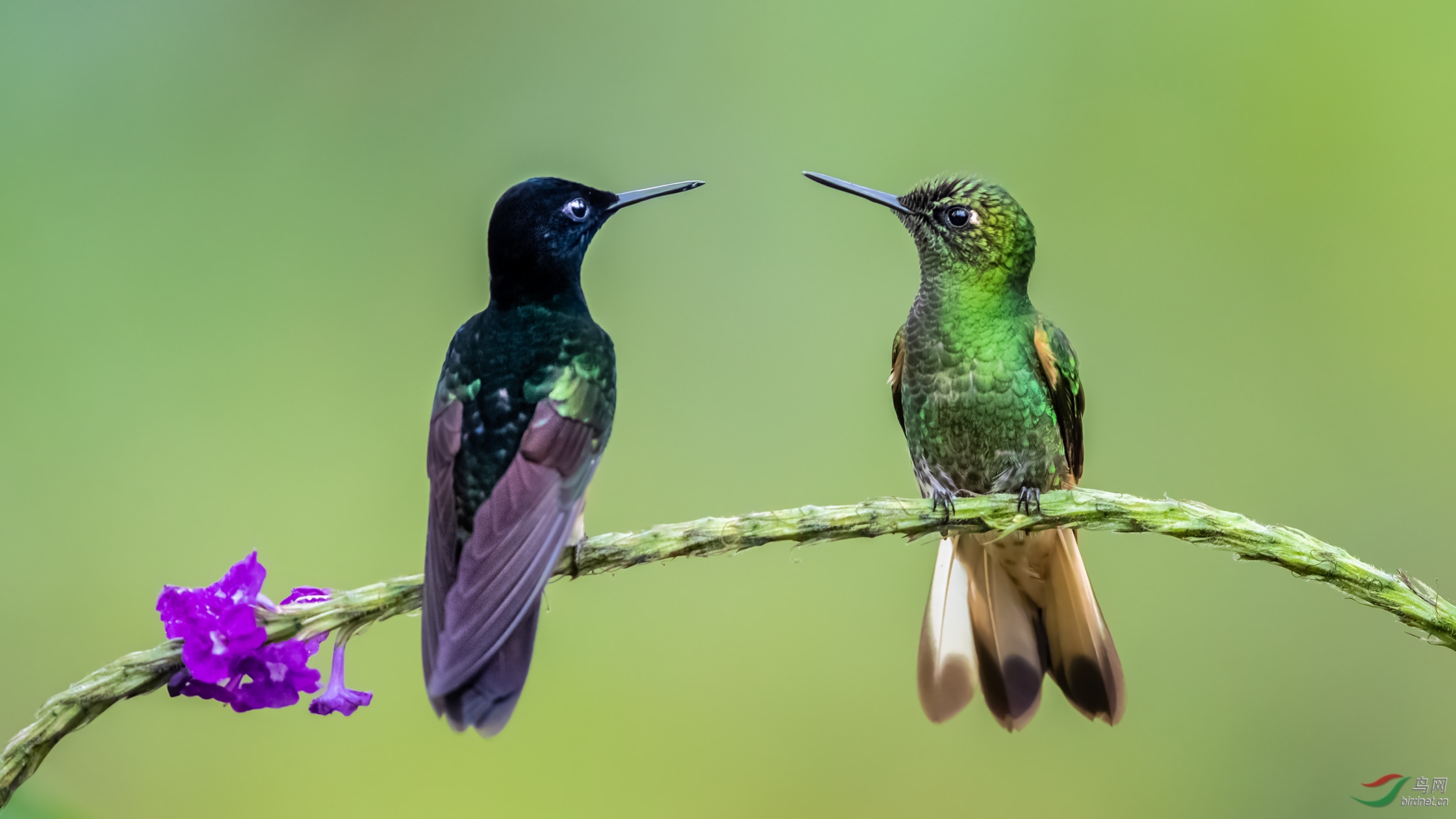 ��β����� (4).jpg