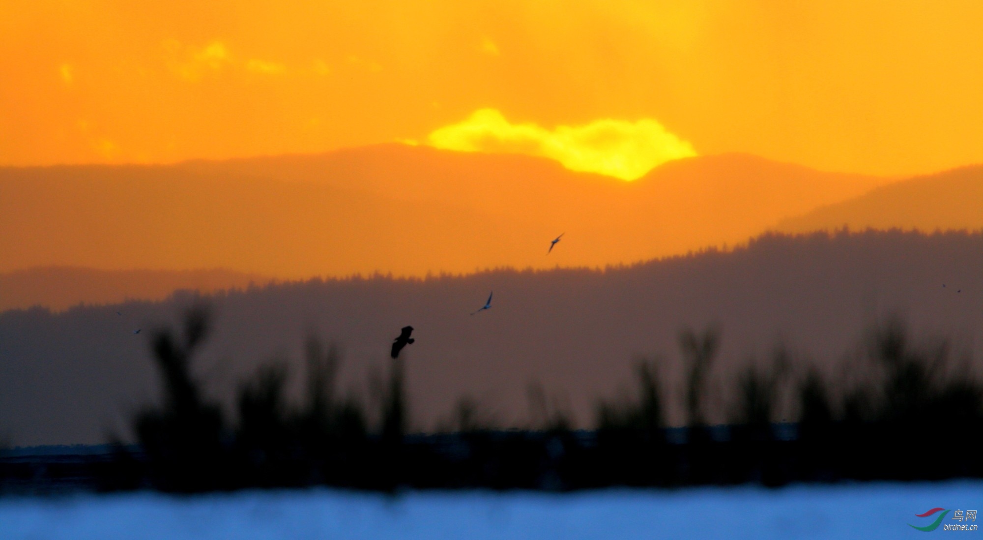 GP100107 447y_1t.jpg