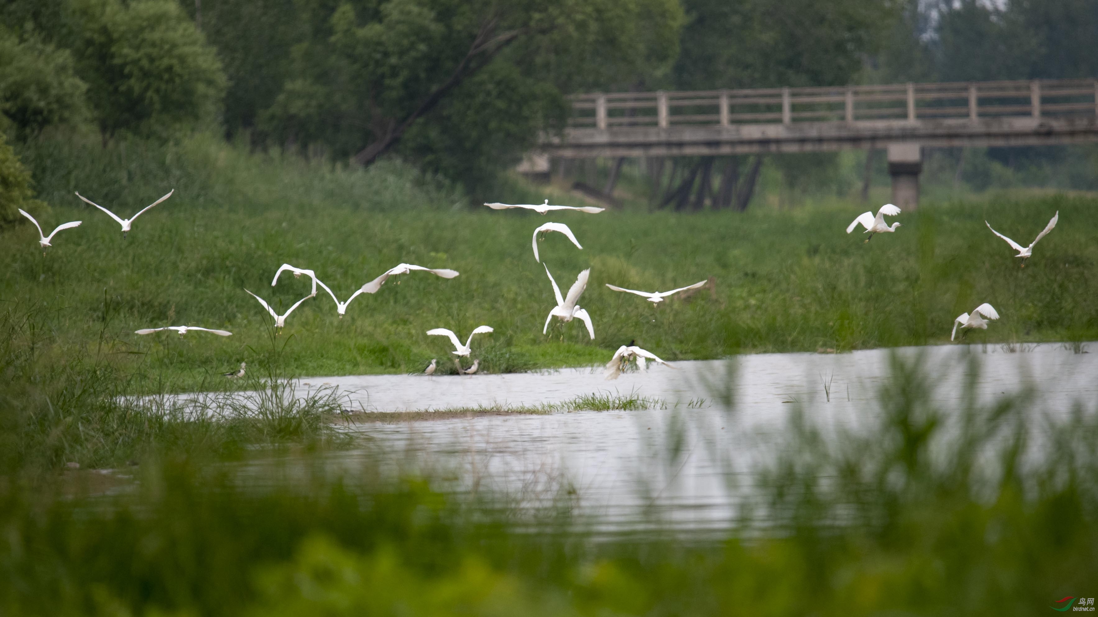 D85_0383.jpg