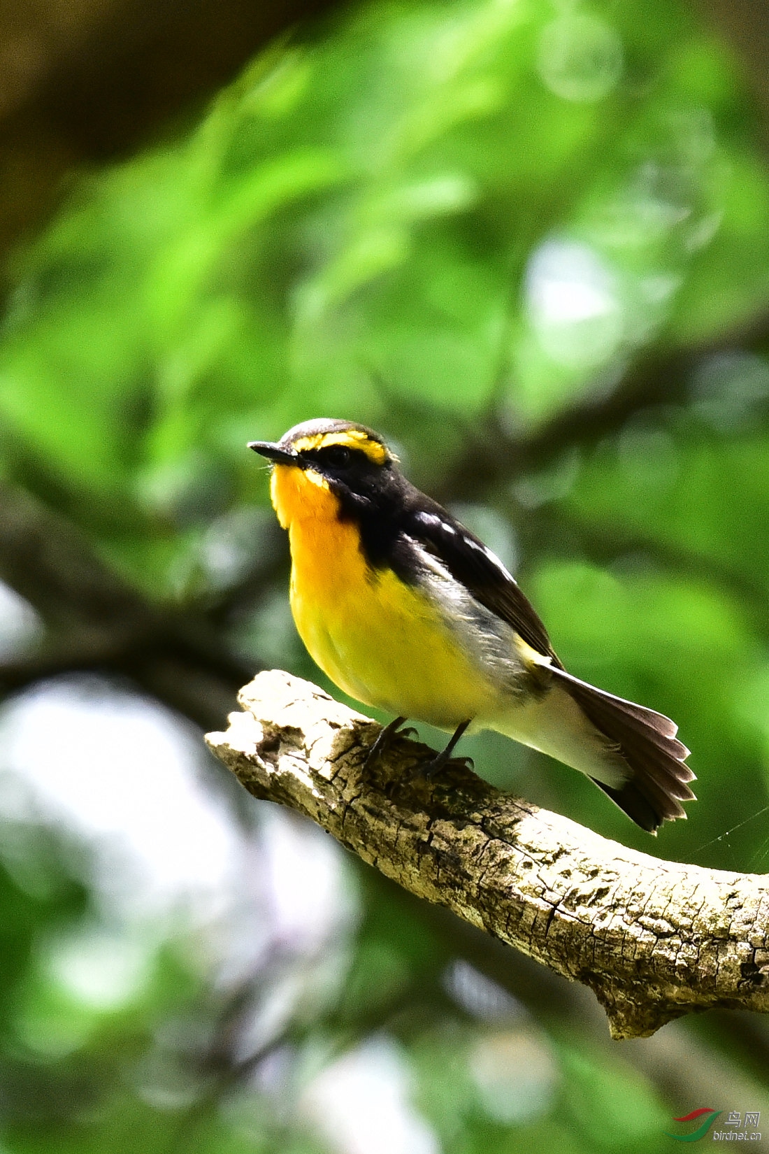 DSC_0644.JPG