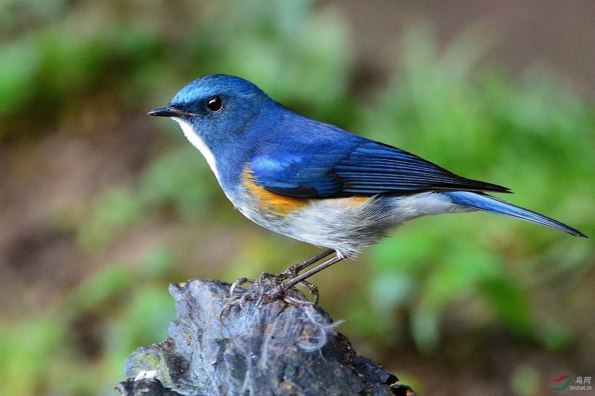 DSC_8570.JPG