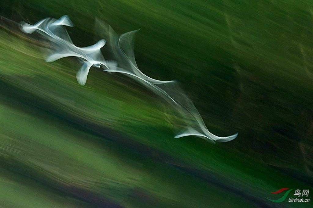 DSC_4062a.jpg