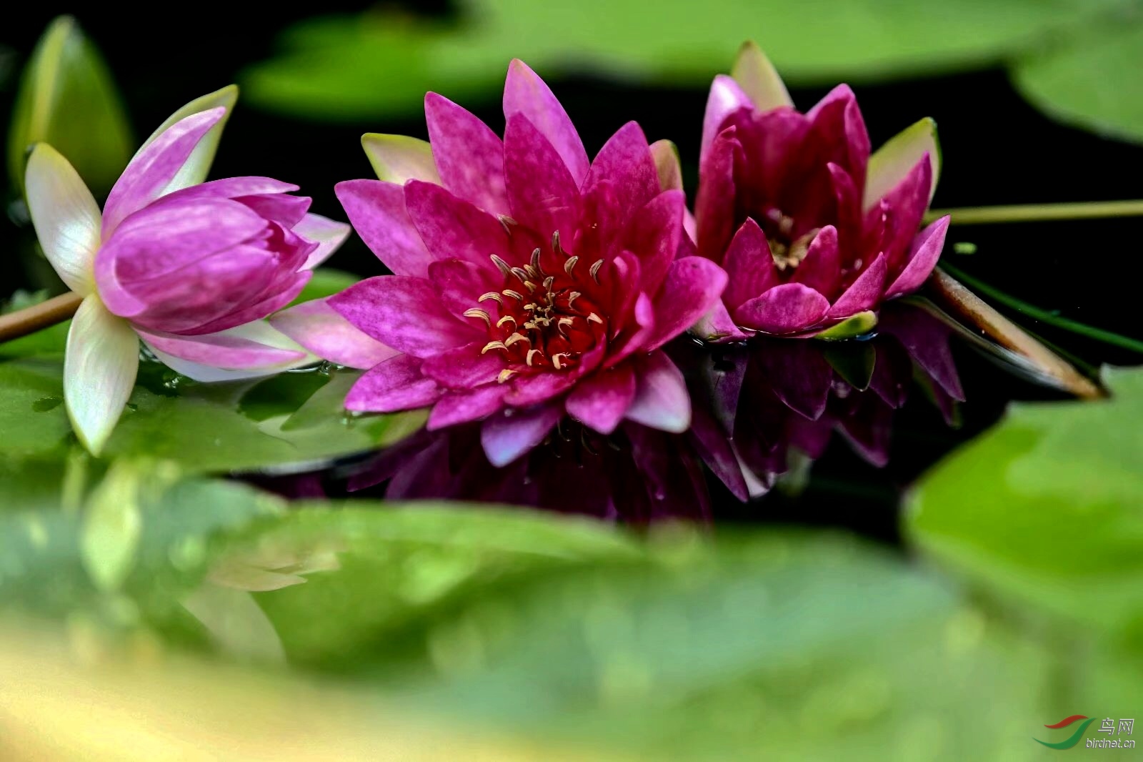 B764E9BC-0E40-4F64-B89D-C557065B9A37.jpeg