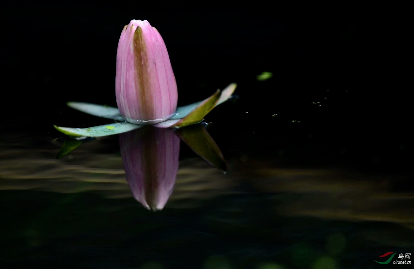 84CF657F-342B-41C2-A5E1-1AA39046F1AD.jpeg
