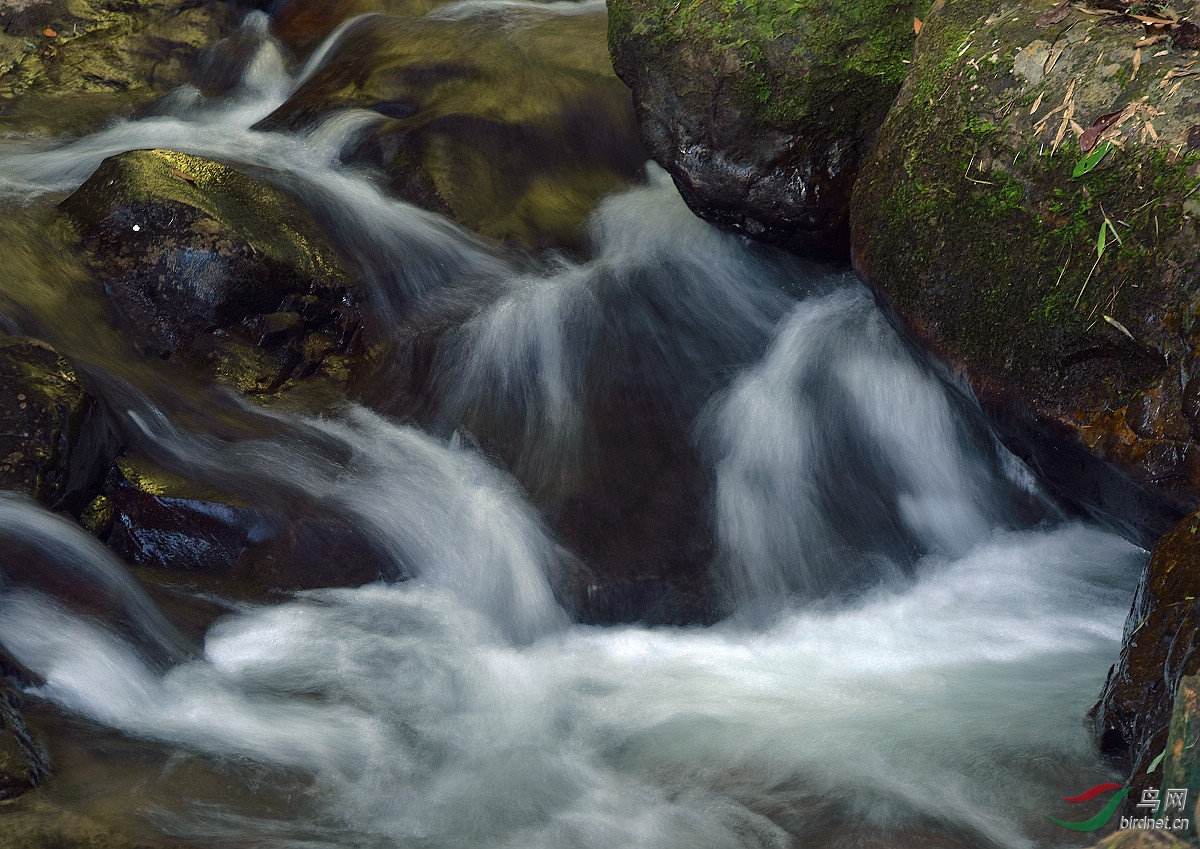 D8I_5407.jpg