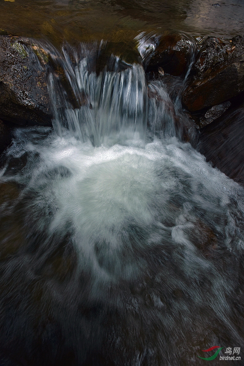D8I_5391.jpg