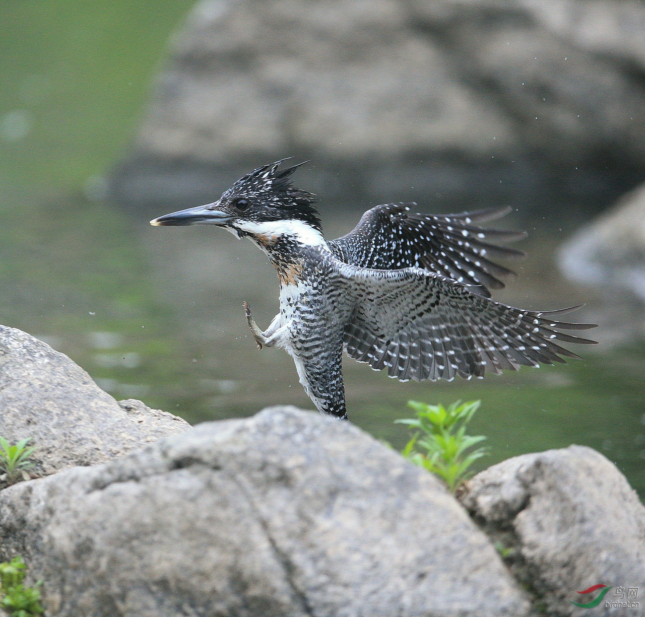 ���� A57 1354-1.jpg