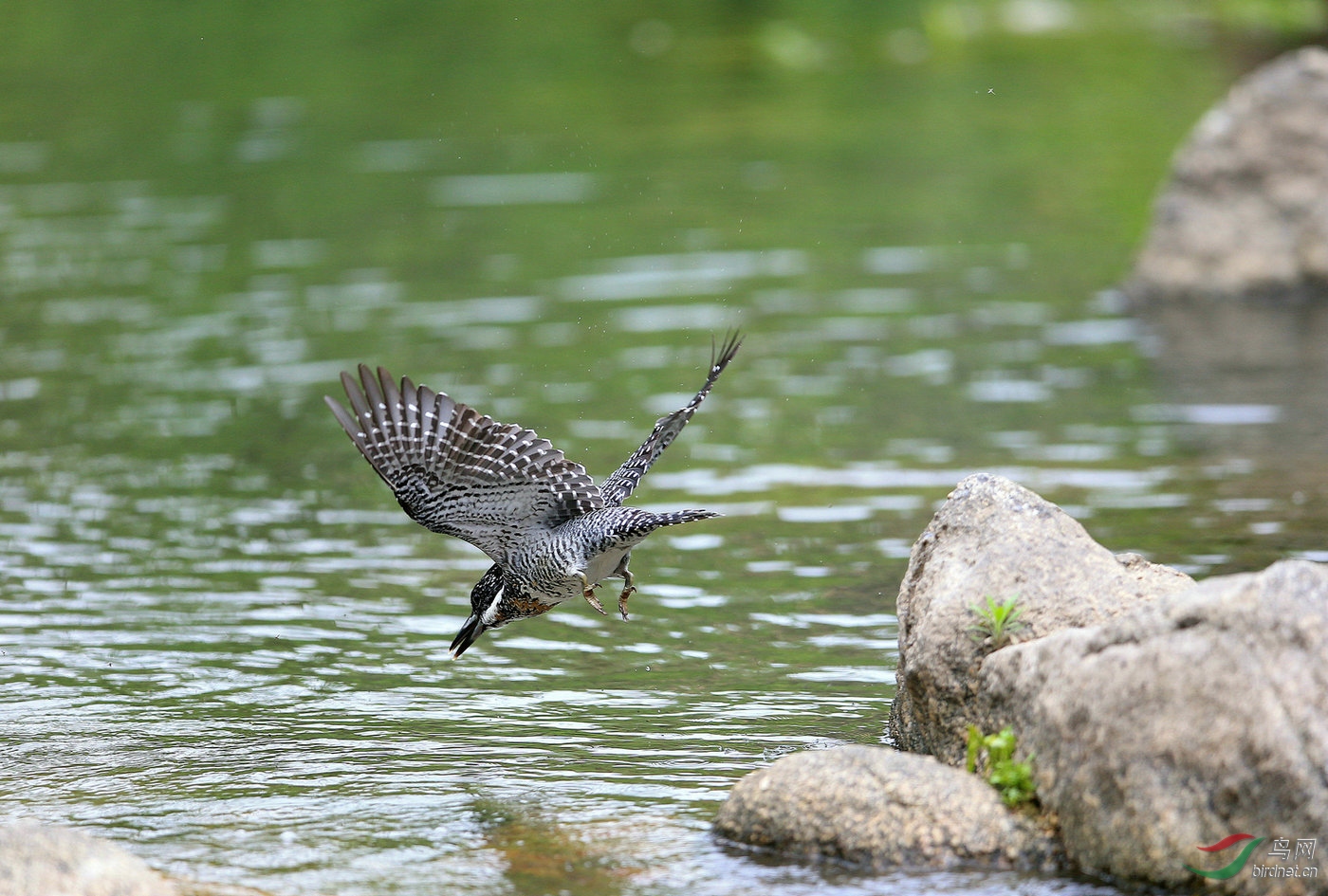 �½� A35 1725.jpg