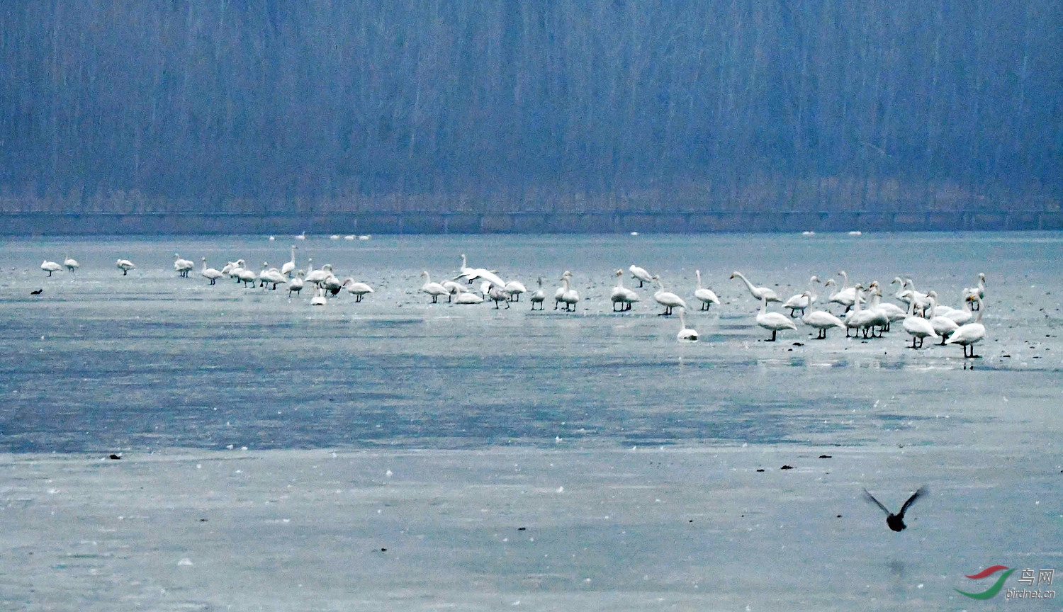 D50_5147.jpg