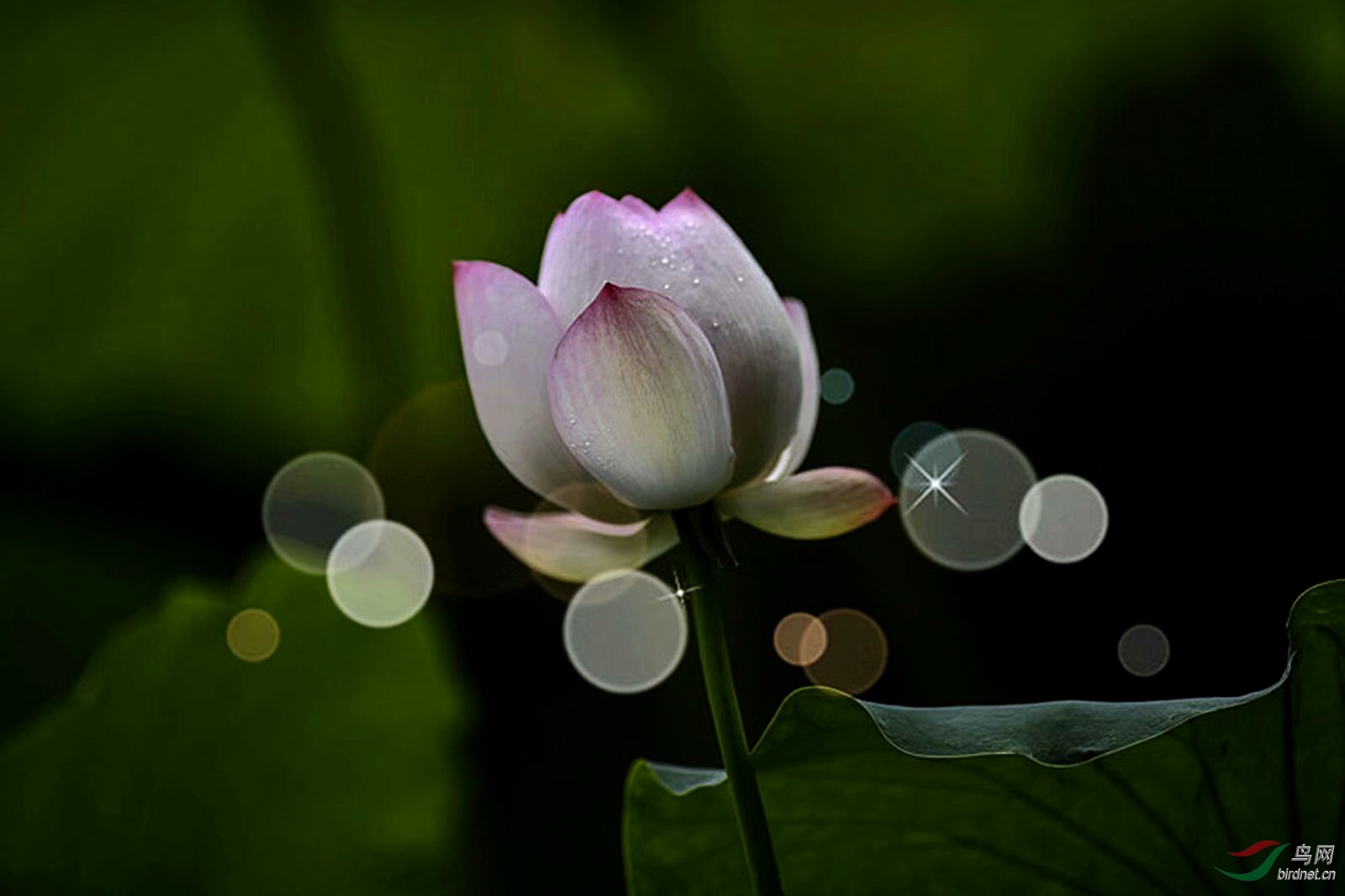 9623482F-B65A-41A7-BA0F-6D665ED0E735.jpeg