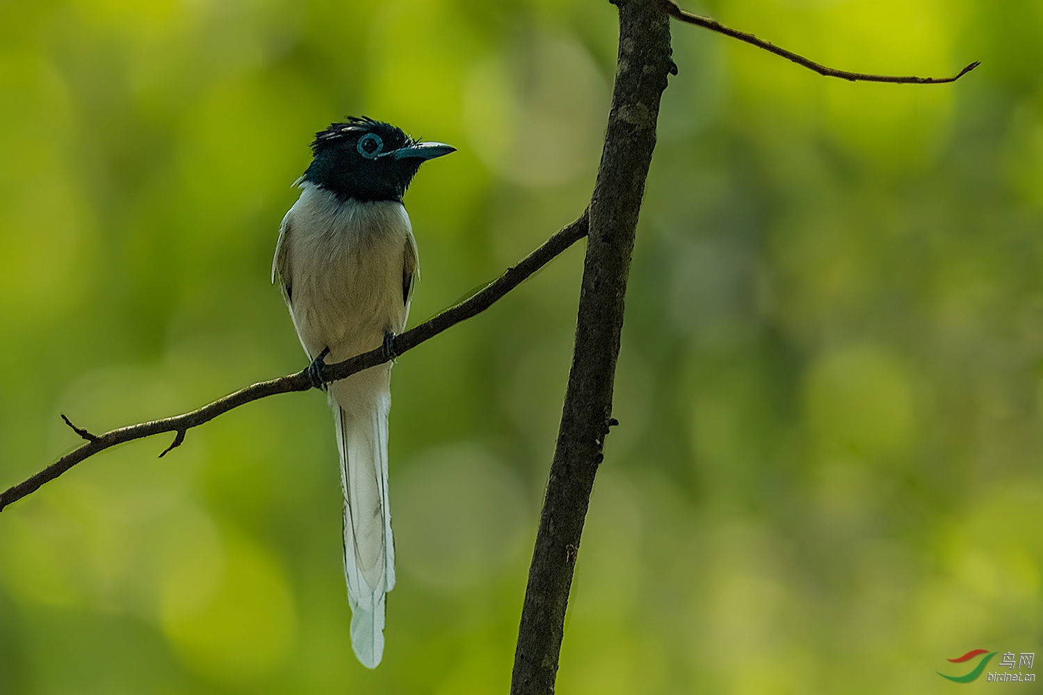 _DSC9487-2.jpg