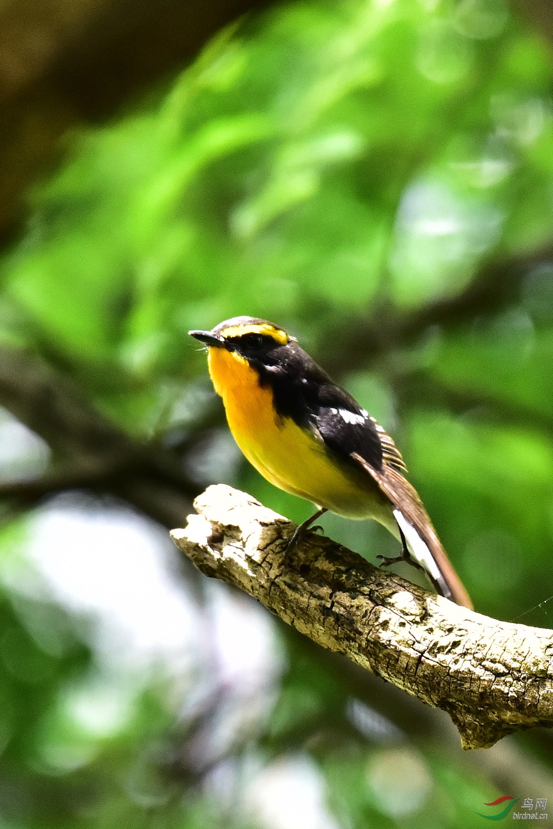 DSC_0648.JPG