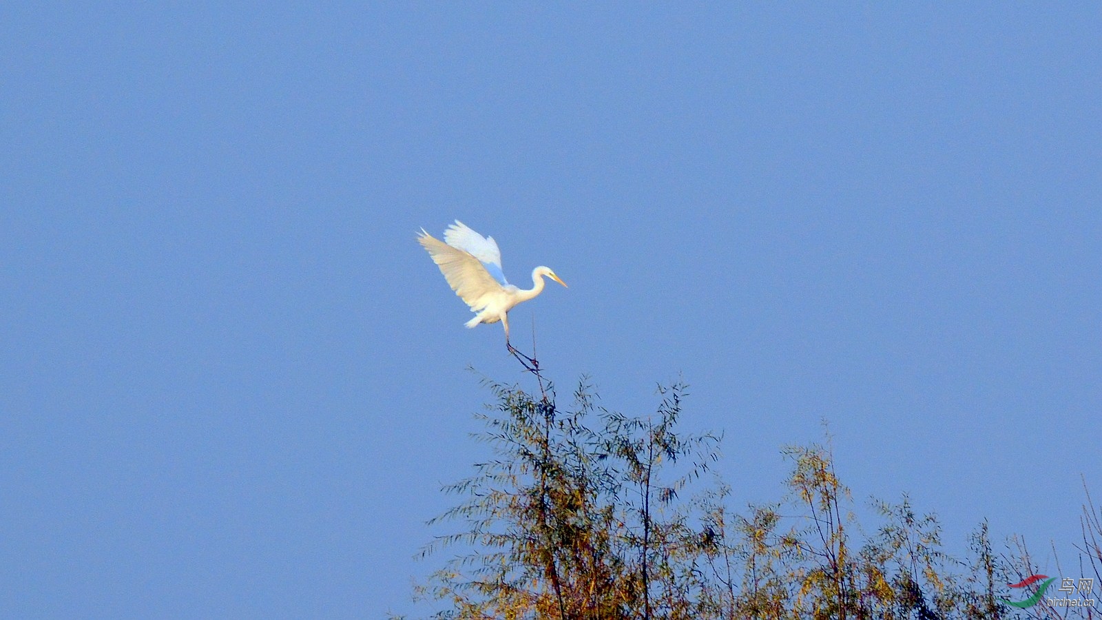 DSC_4720.JPG