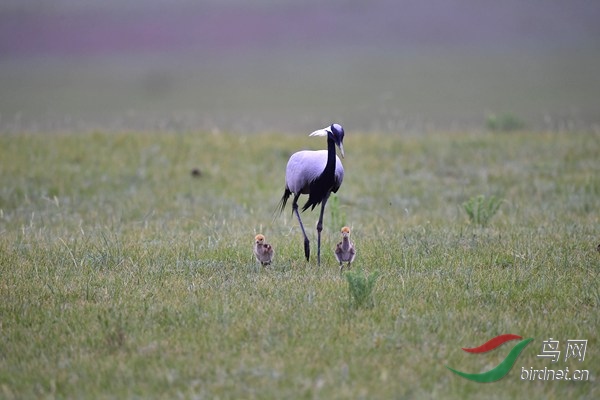 _DSC6094.jpg