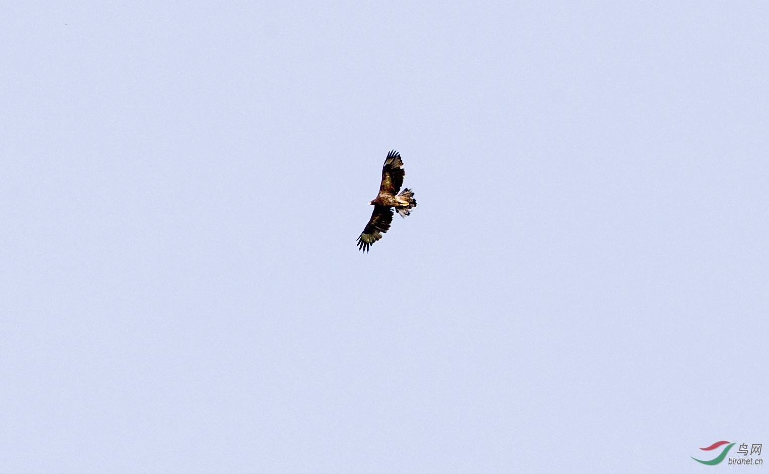 HXZS5690.JPG