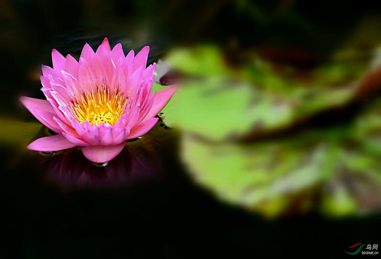 50F48AB2-4EAE-4AE1-9566-EBA9BC71A8CF.jpeg