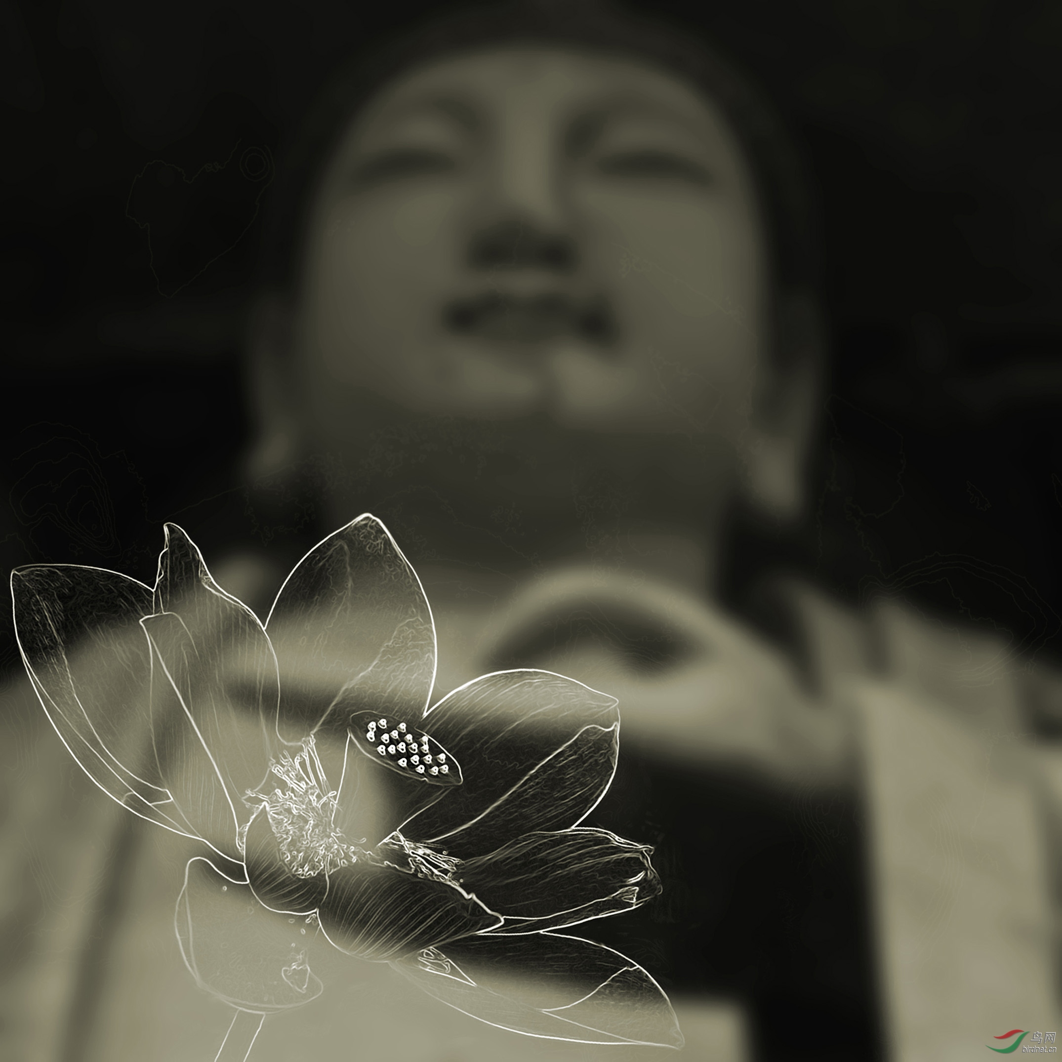 愿做菩萨那朵莲