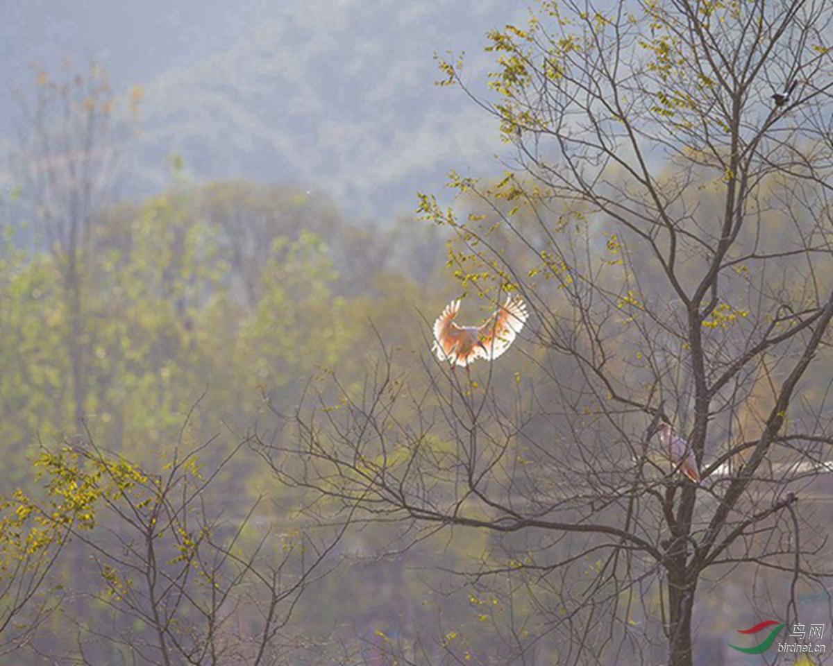 _E8J7126.jpg