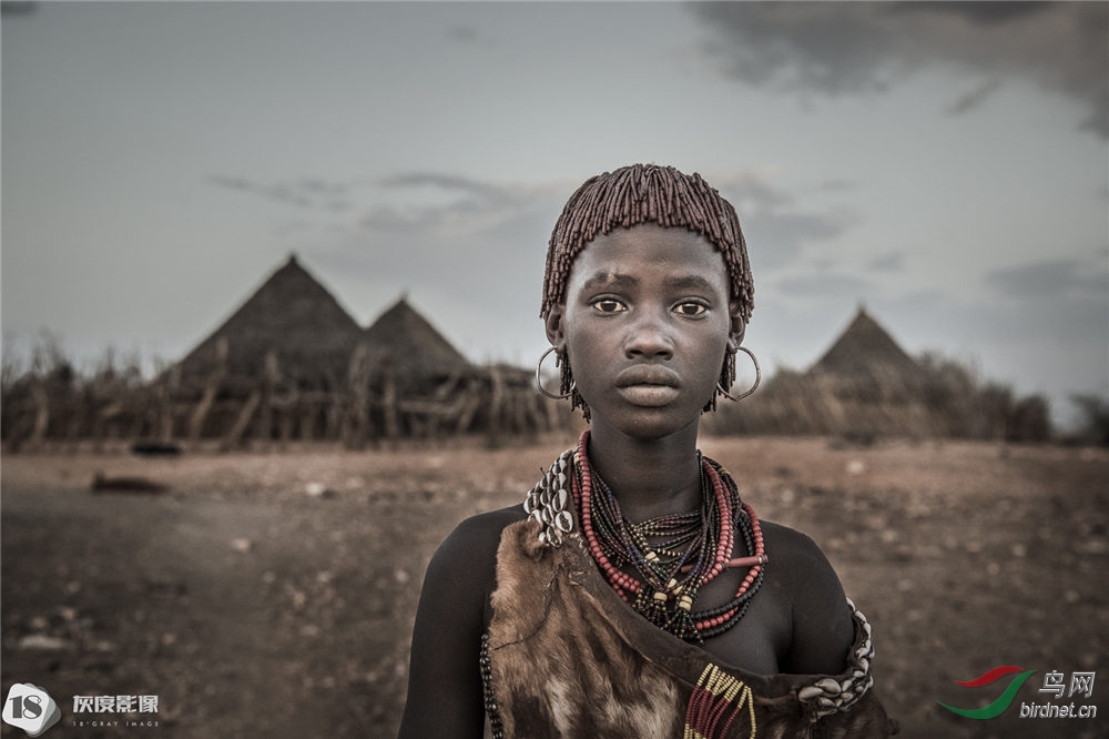 ����Ӱ������ �Ҷ�Ӱ��