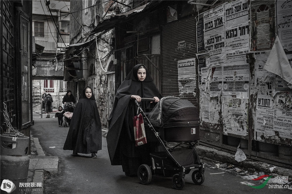 ����Ӱ������ �Ҷ�Ӱ��