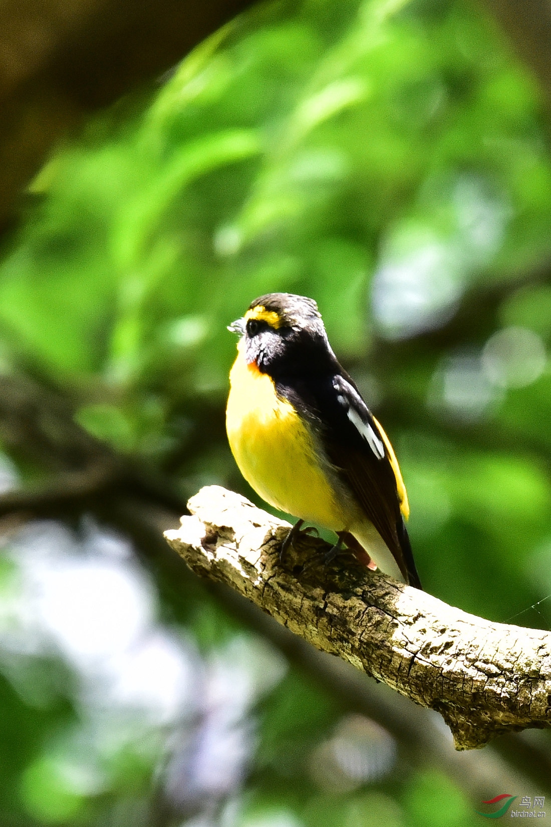 DSC_0656.JPG