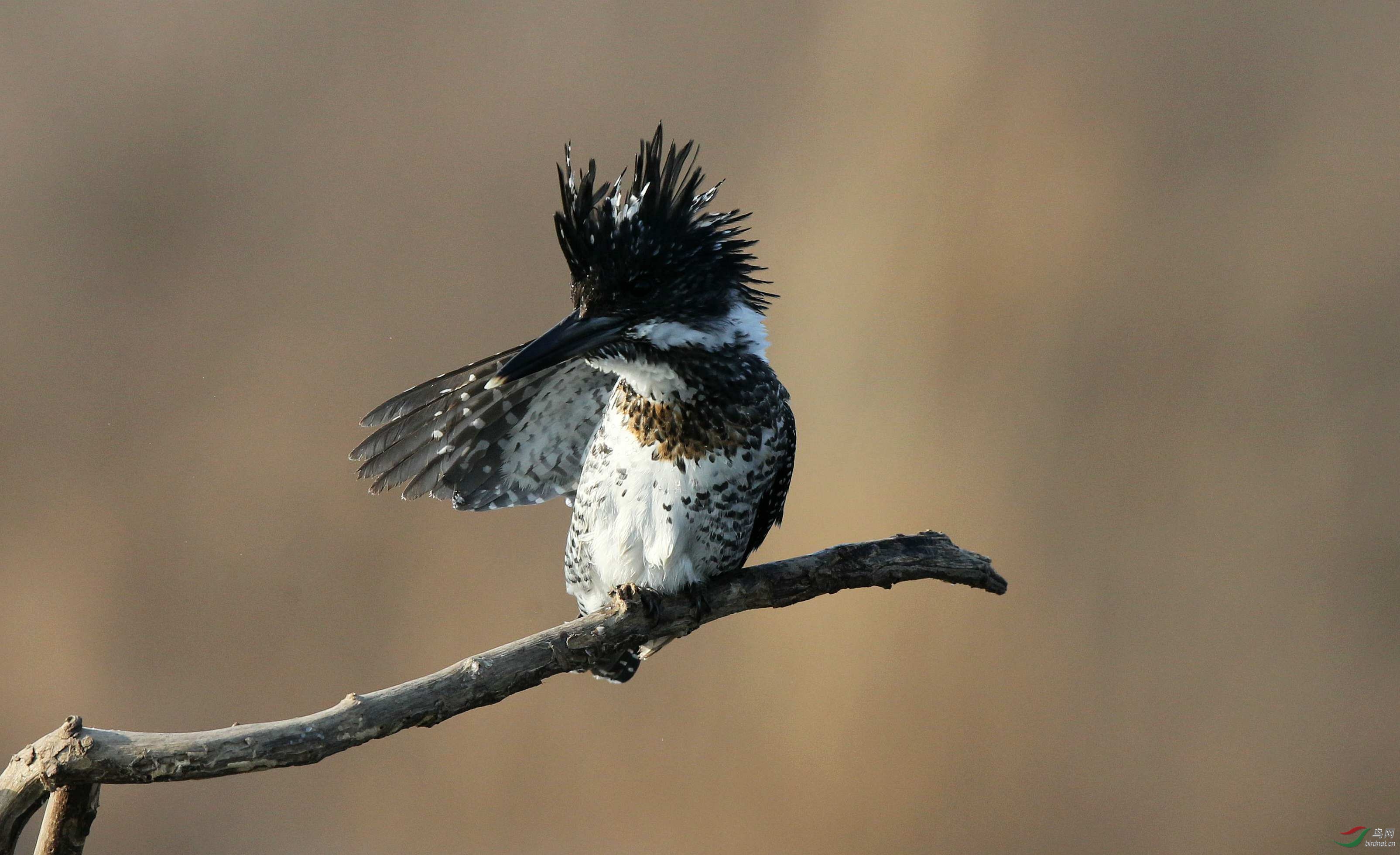 H46R7724_���� (2).jpg