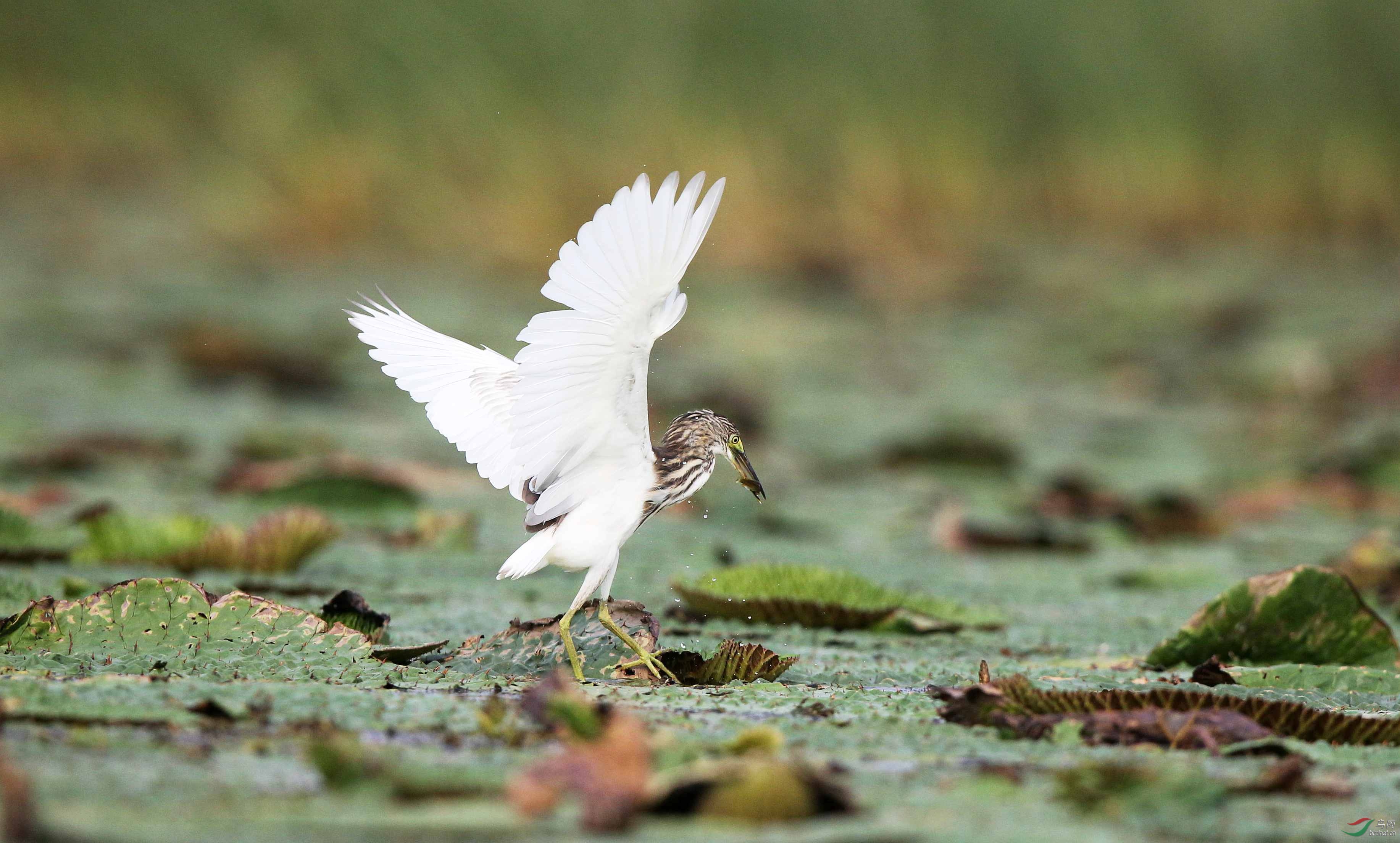 H46R0863_���� (2).jpg