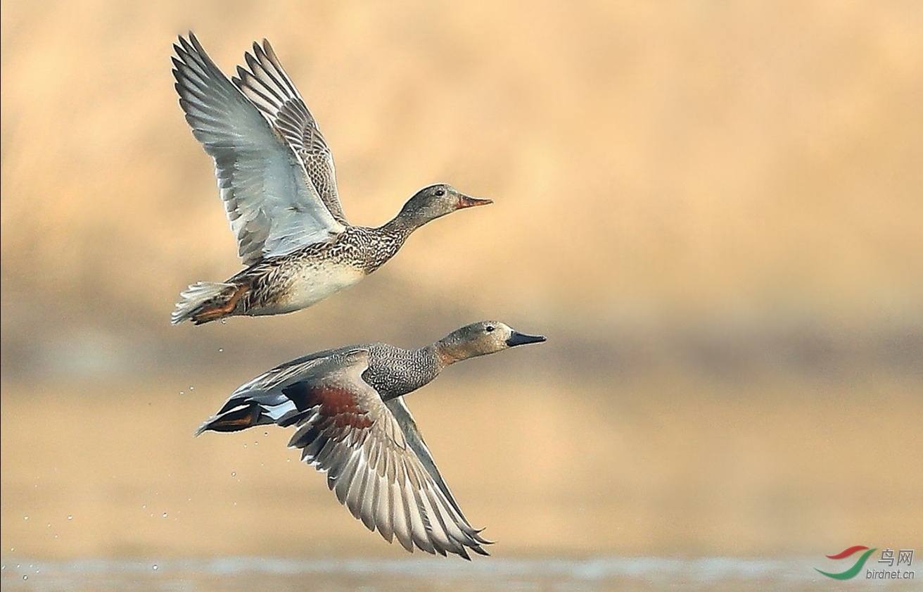 ����ͬ��