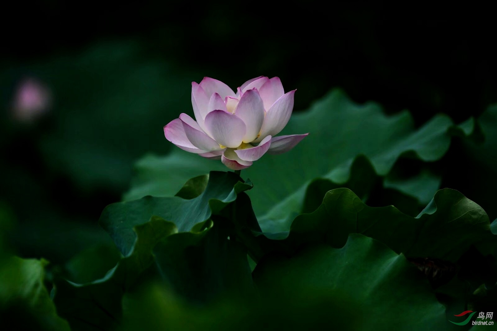 679620CF-5148-4FB0-8A37-527A48908B3F.jpeg
