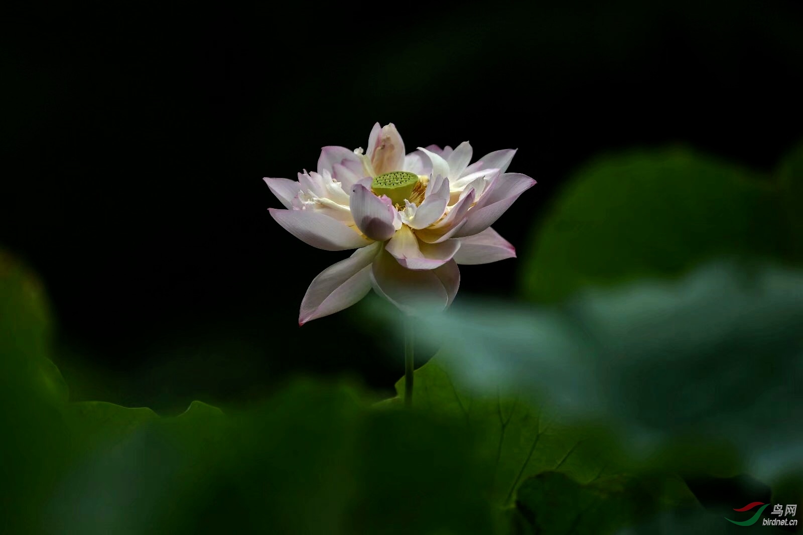 439EDEBF-D75E-419C-B509-7560E4F2AD5F.jpeg