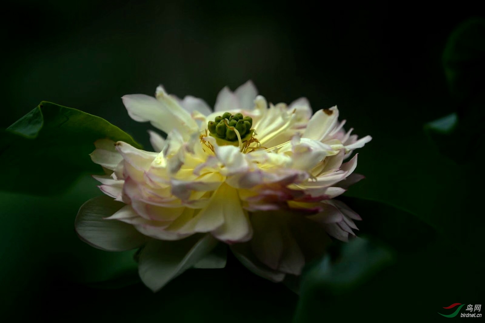 D933E7EF-F8D0-4DF0-BC7D-1B02A9DB40A7.jpeg