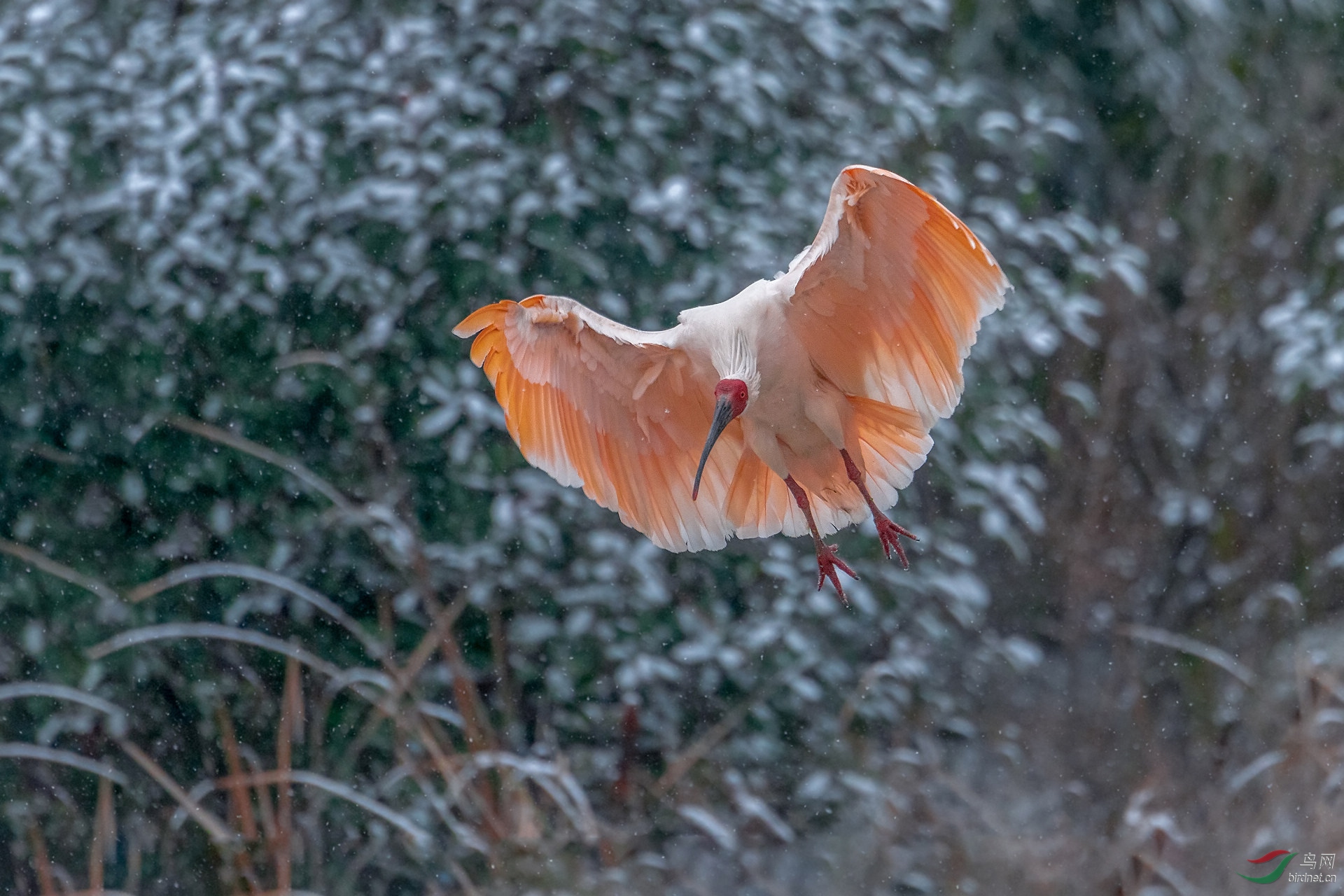 DSC_9994.jpg