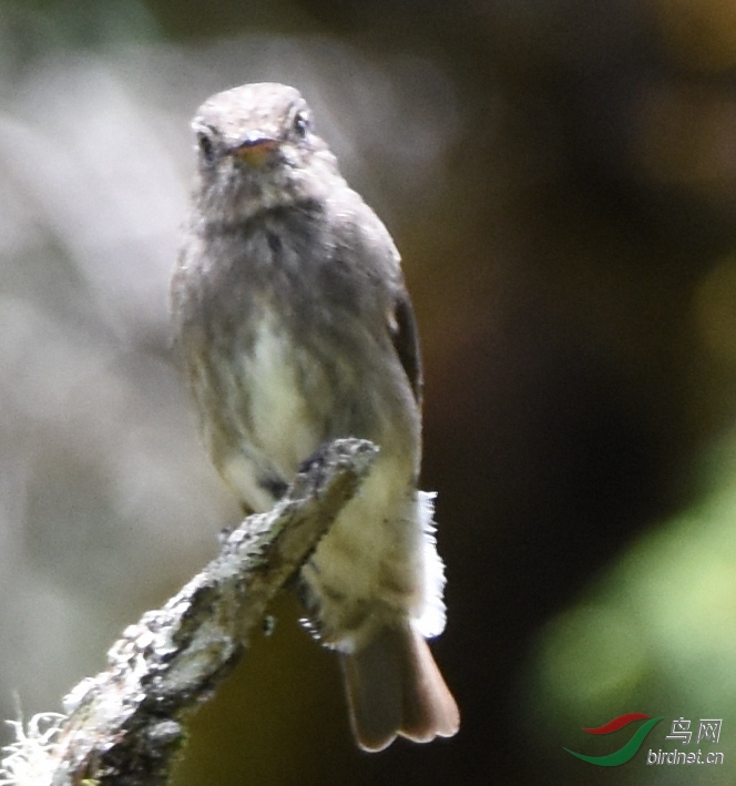 DSC_6369.jpg