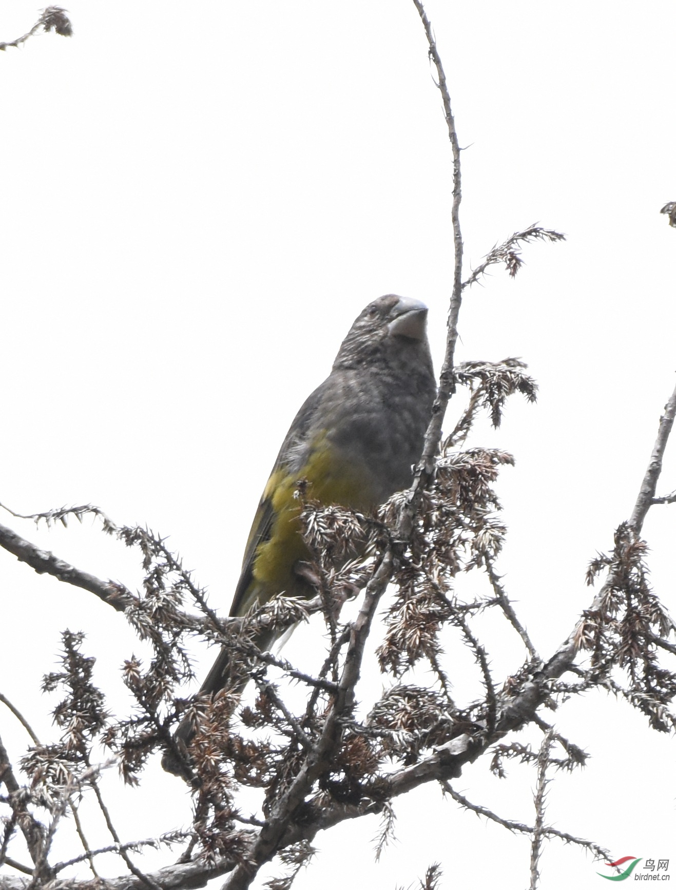 DSC_6379.jpg