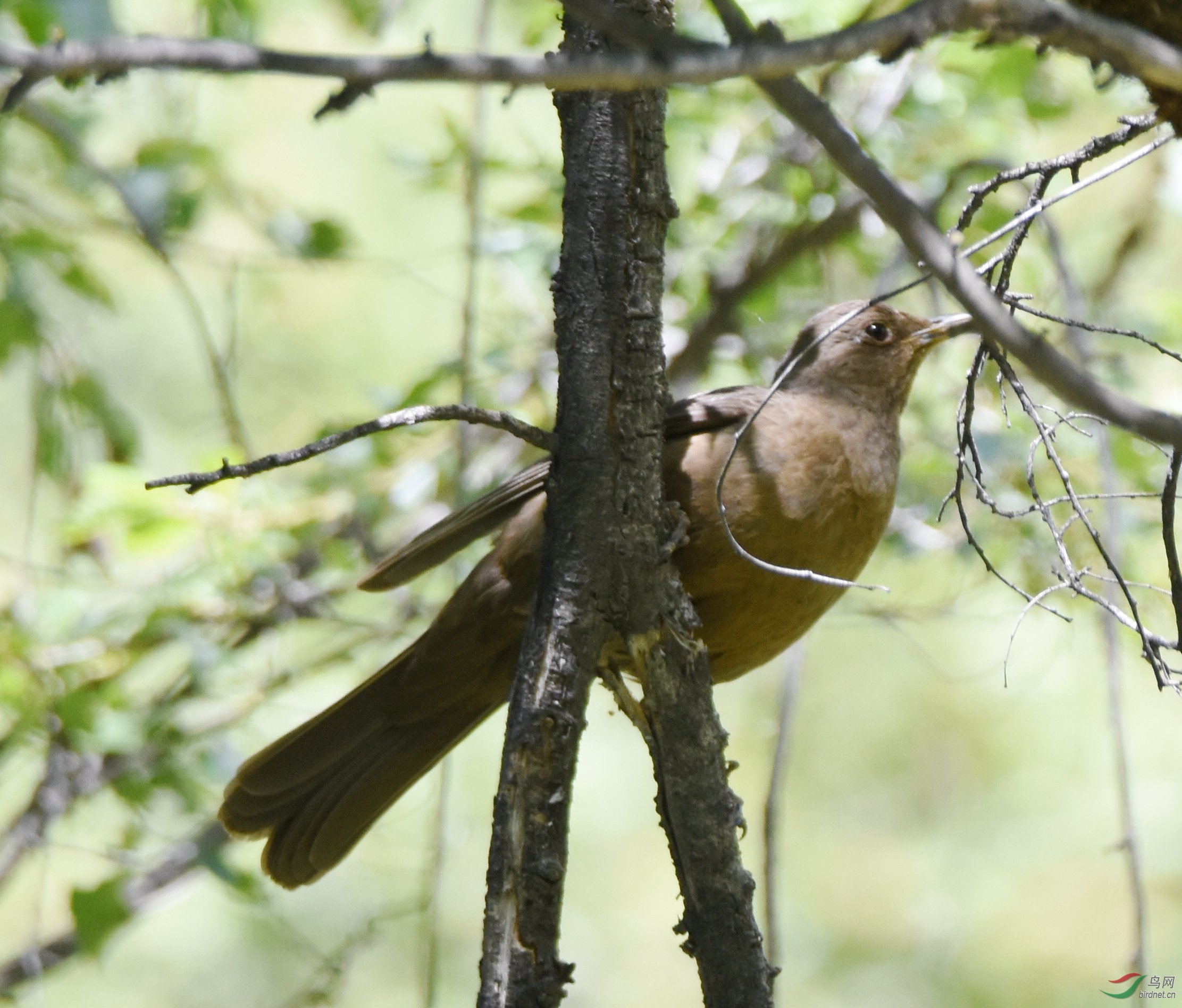 DSC_6418.jpg