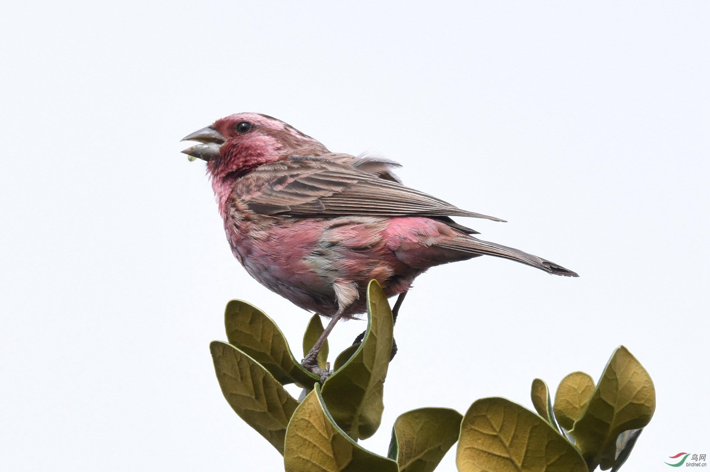 DSC_6743.jpg