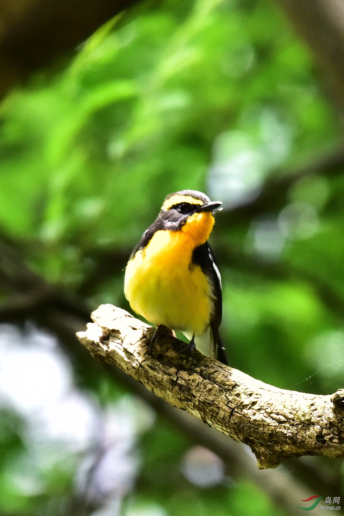 DSC_0661.JPG